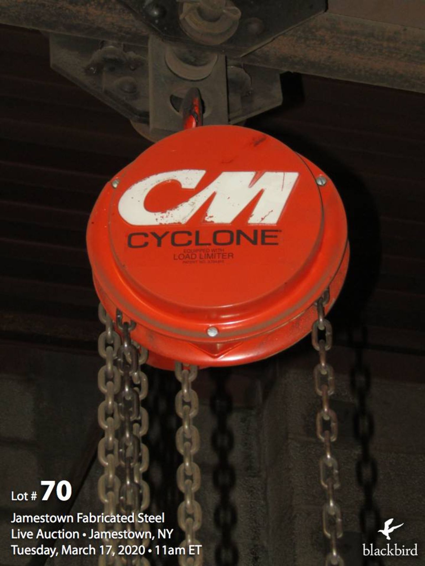 CM cyclone chain hoist 1 ton.