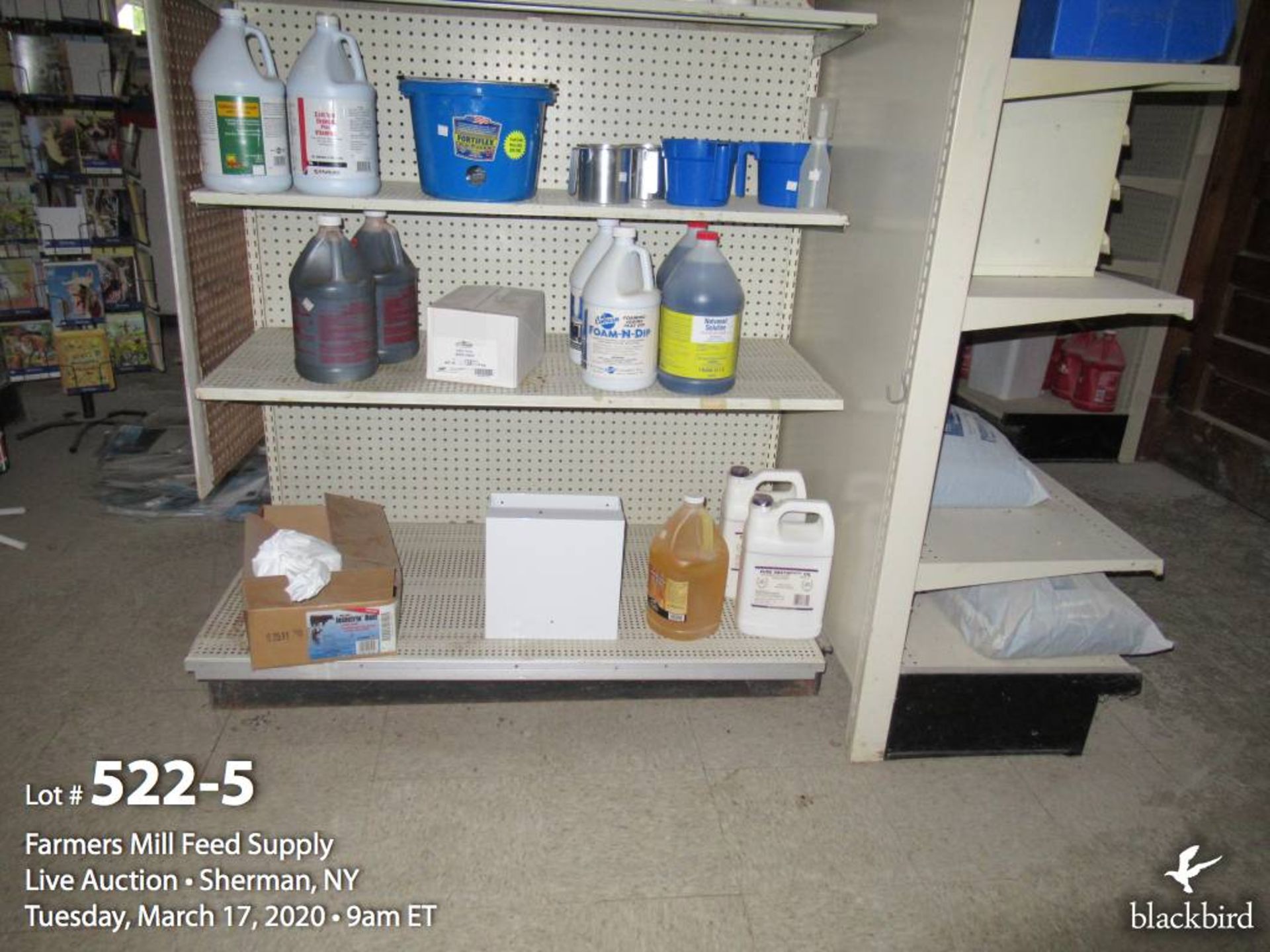 Contents of retail items - Image 6 of 15