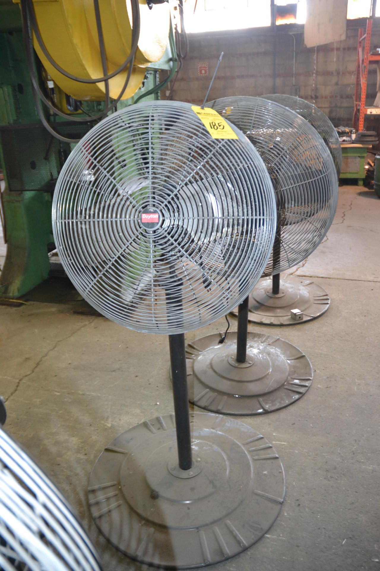 Pedestal Fans