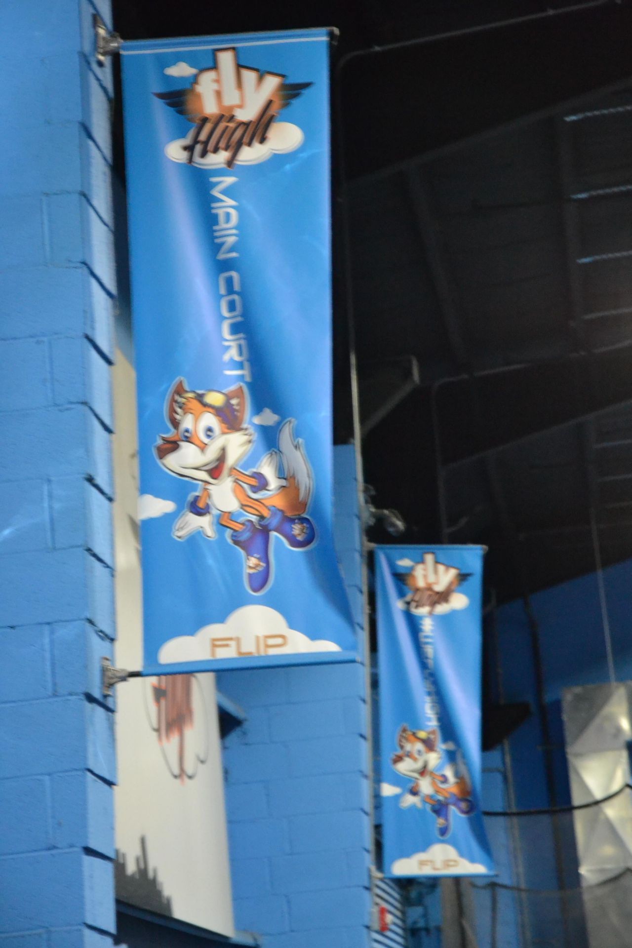 "Flip" Flag Banners - Image 2 of 2