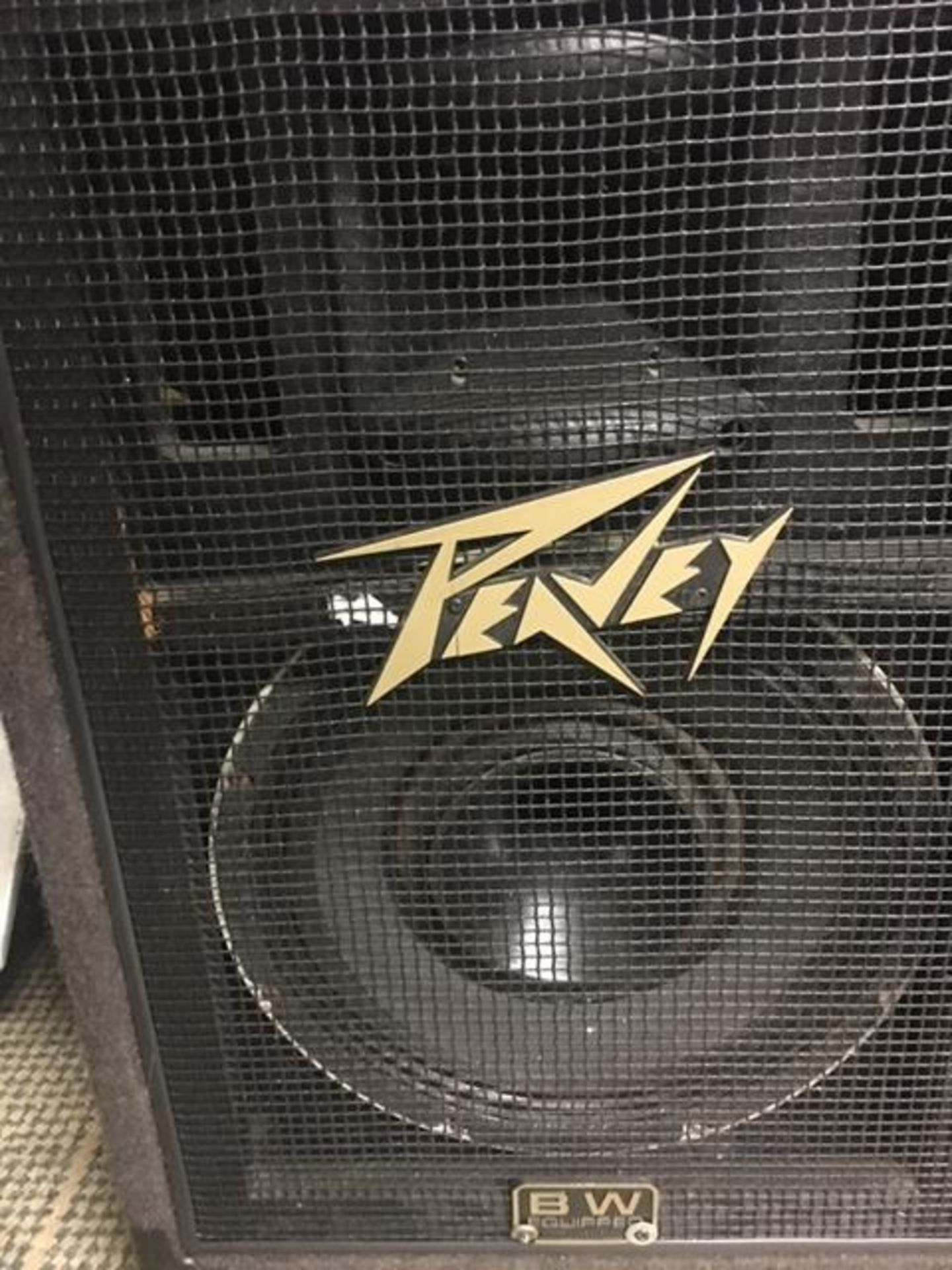 Peavey 112 International Series 111 Speakers