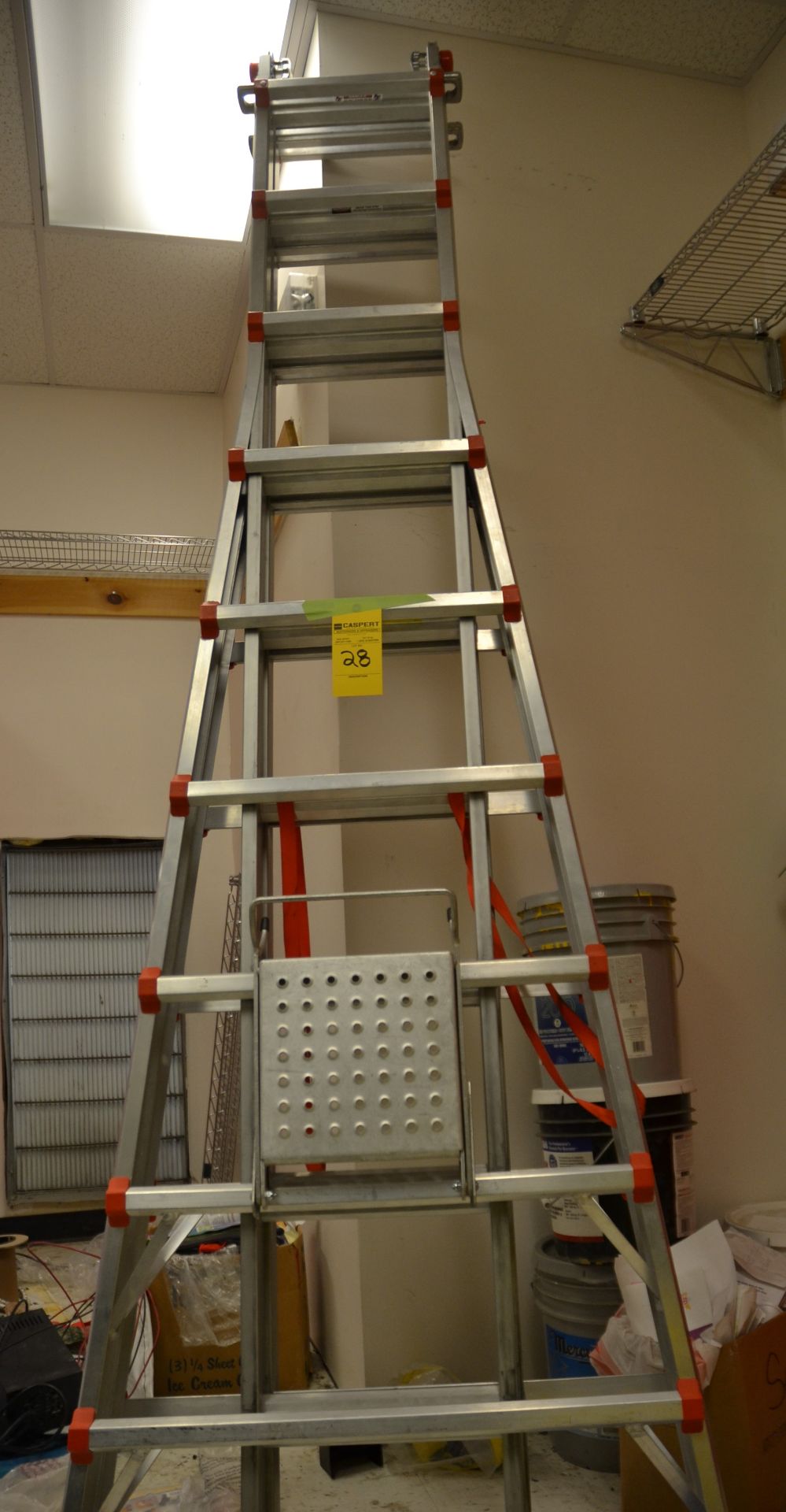 Little Giant Ladder System