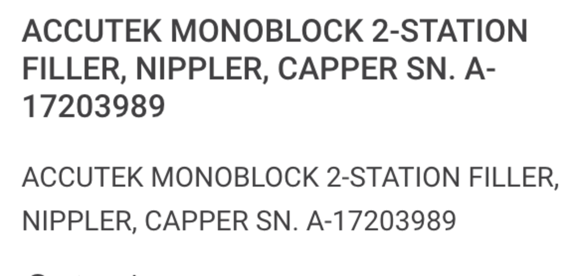 Accutek Monoblock 2-station Filler - Image 31 of 36