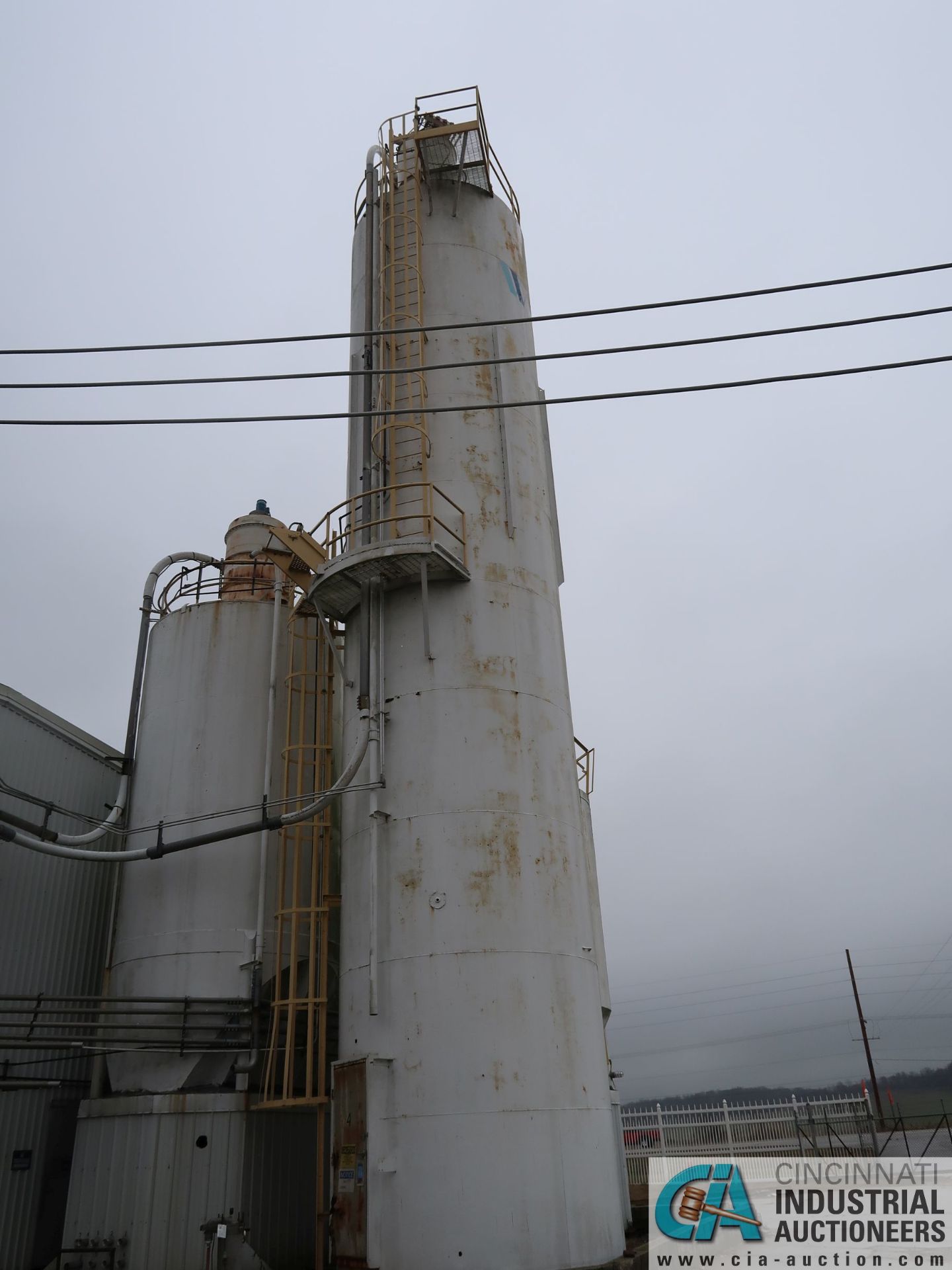 12' X 60' APPROX. WELDED STEEL SILO, SILO NO. 10 - Image 2 of 7