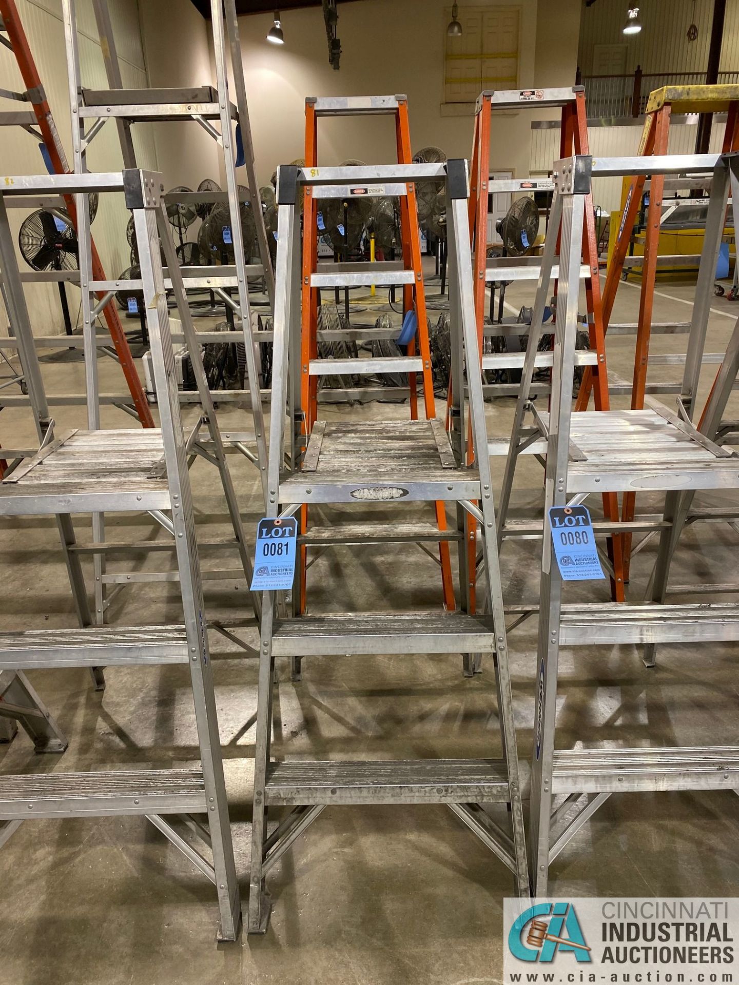 3' WERNER ALUMINUM PLATFORM LADDER