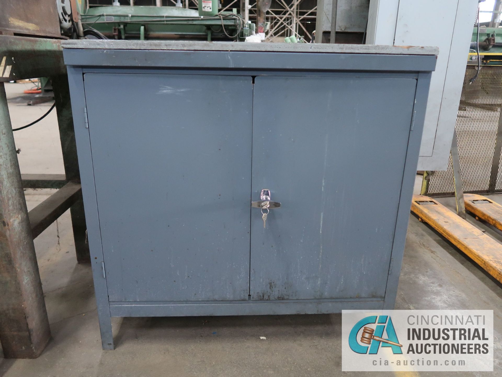 25" X 36" X 36" H TWO-DOOR STEEL CABINET