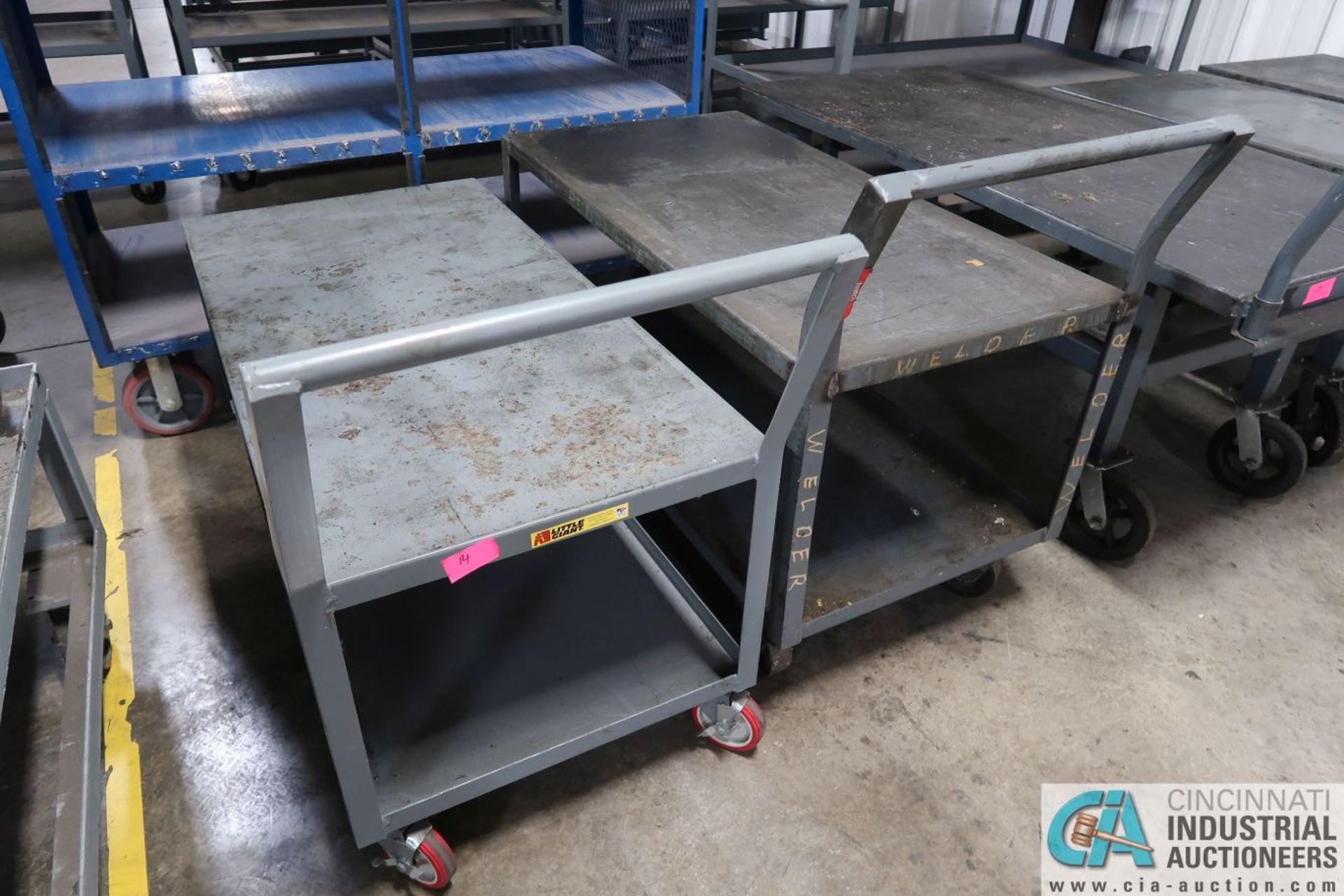 MISCELLANEOUS SIZE JAMCO AND LITTLE GIANT WELDED STEEL CARTS - Image 2 of 3