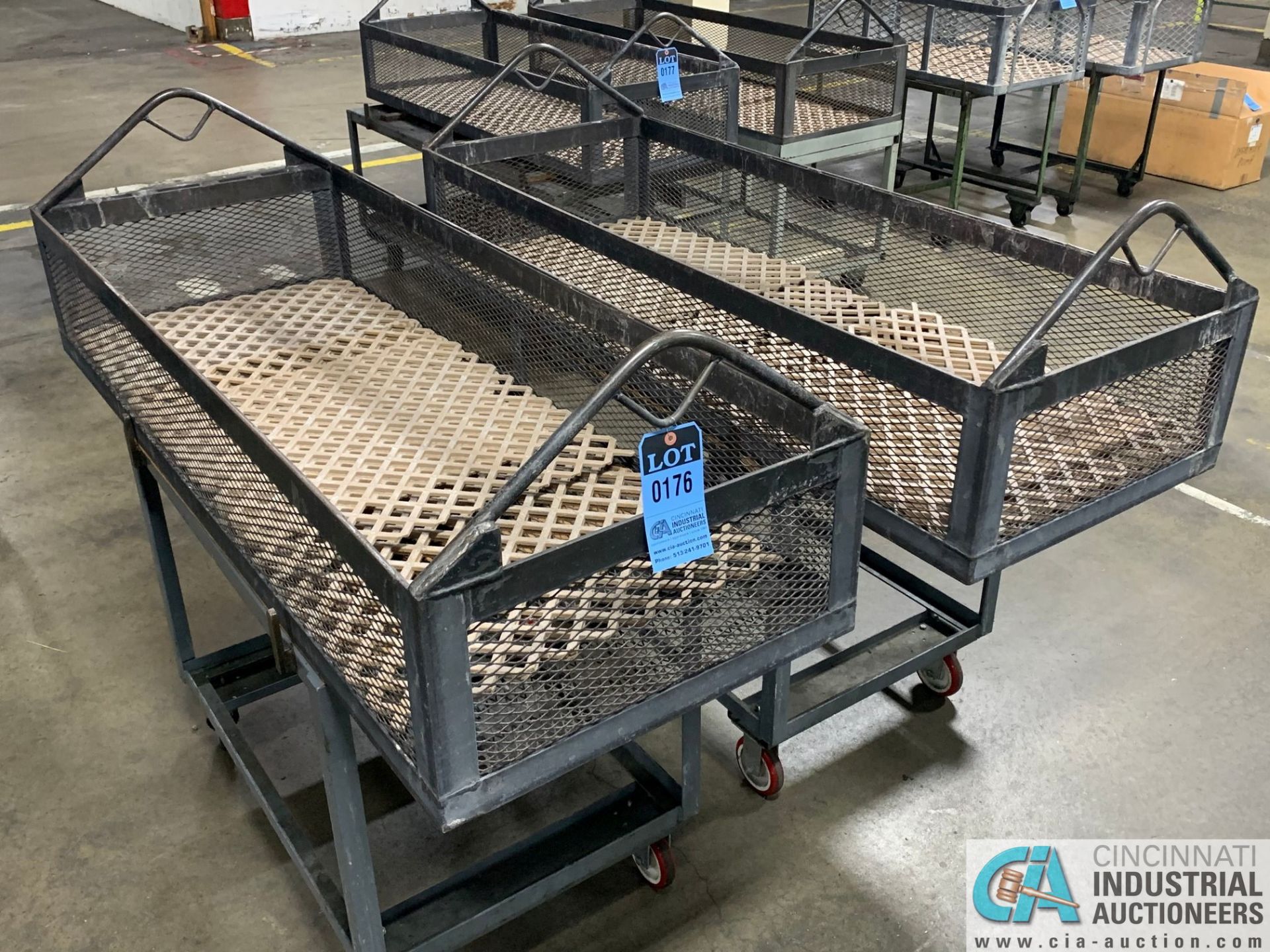 66" X 24" X 12" DEEP STEEL BASKETS WITH CARTS