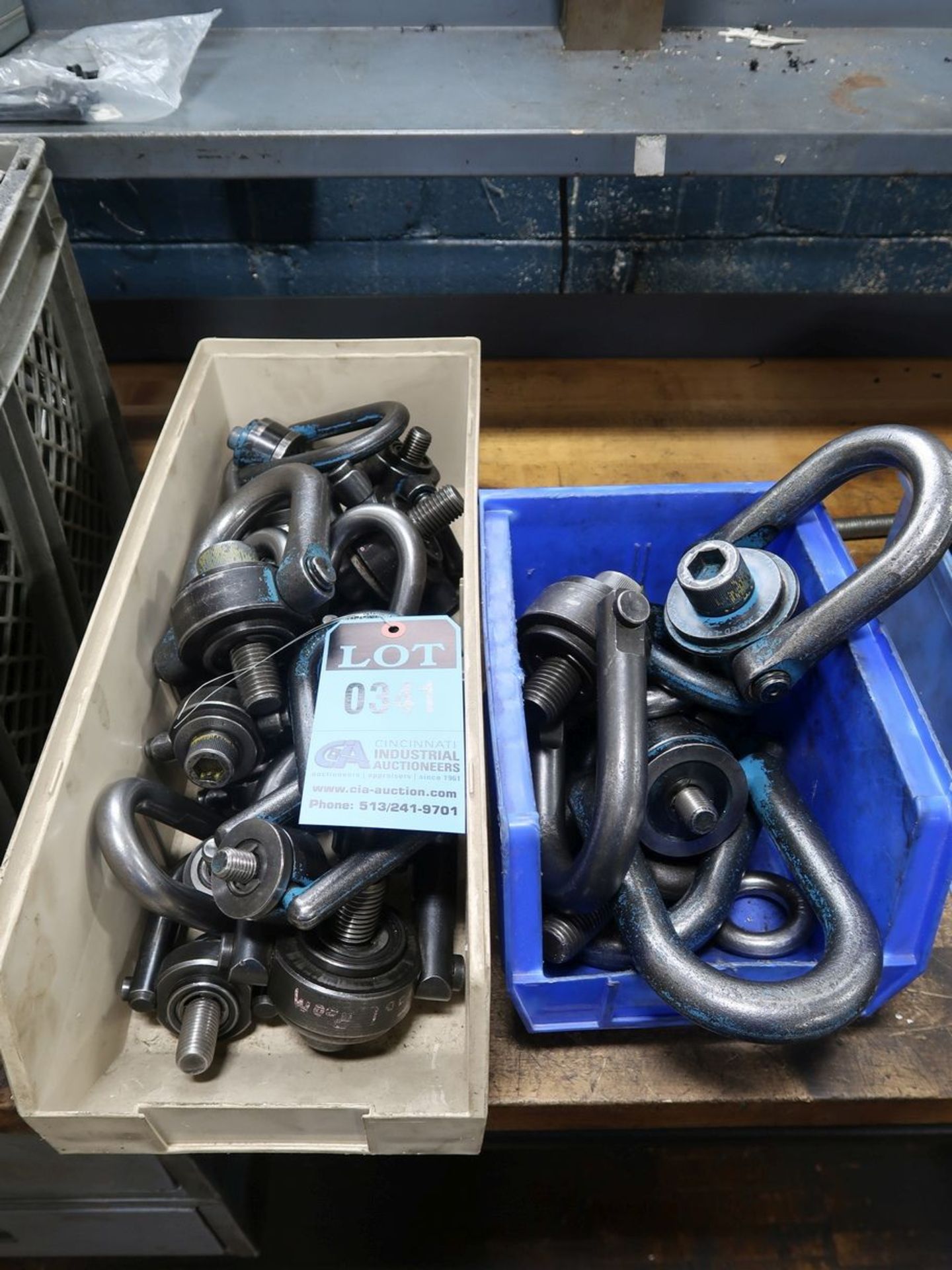 (LOT) HOIST RINGS