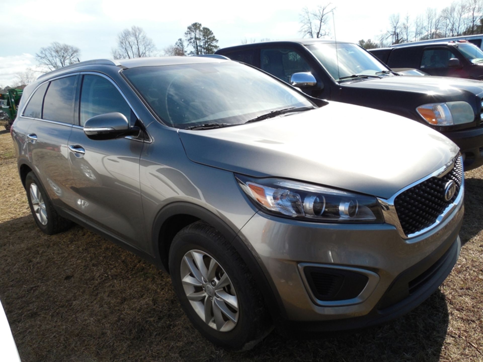 Vin kia sorento