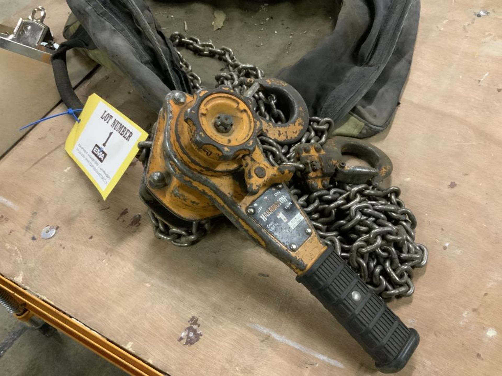 Chain hoist ratchet