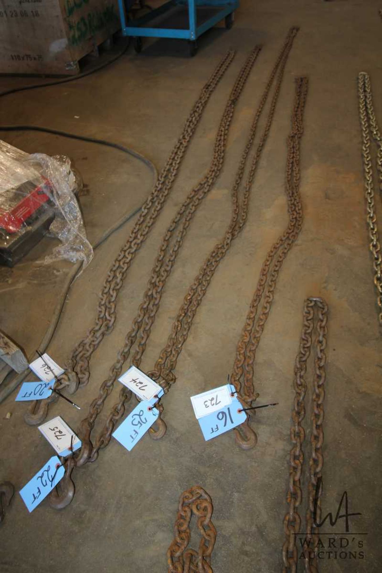 25FT CHAIN