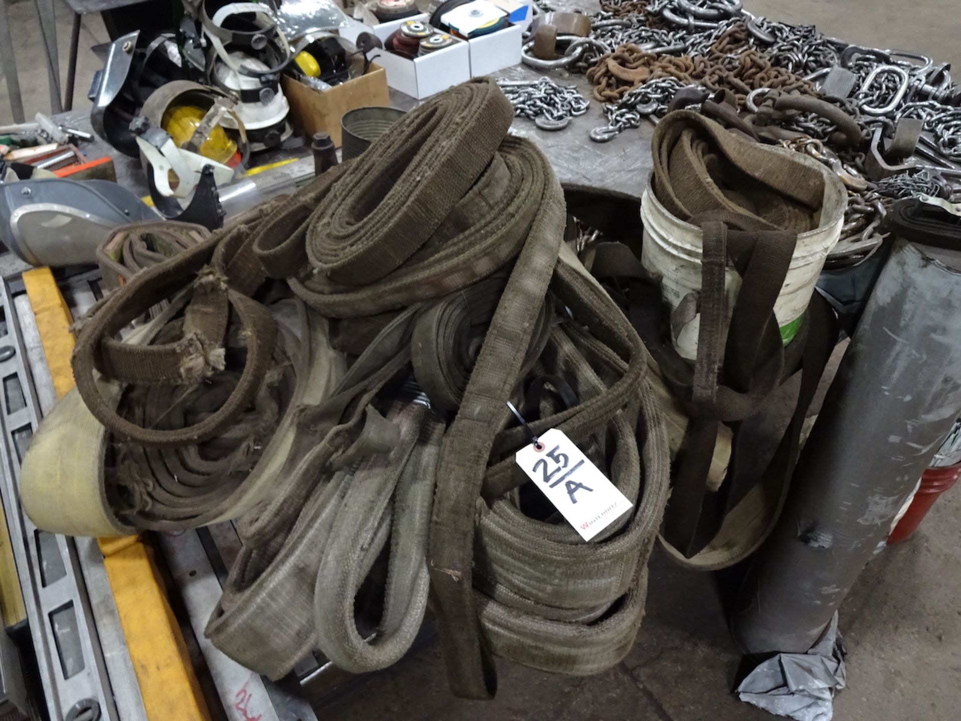 LOT: Assorted Lifting Straps