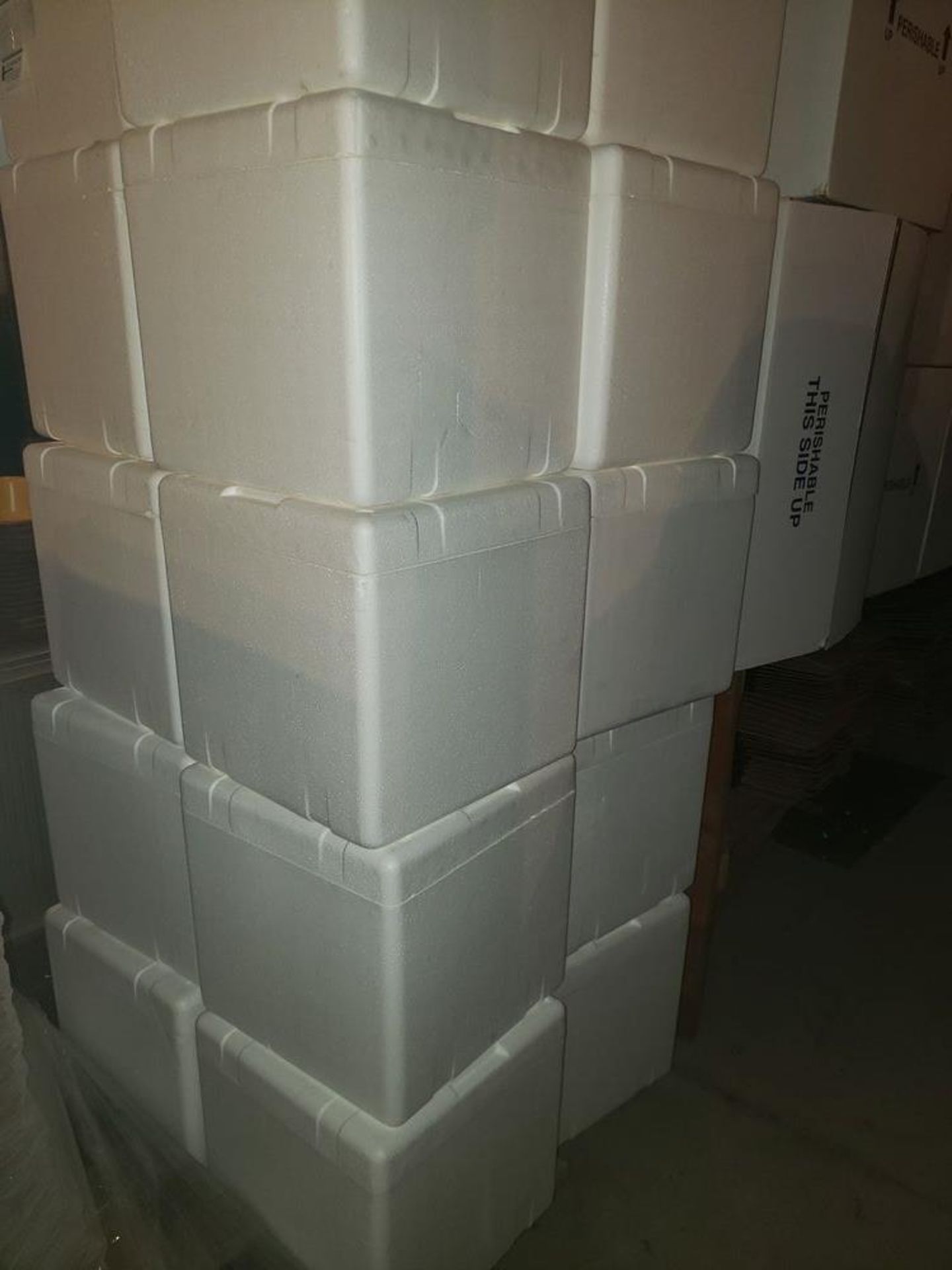 LOT OF SHIPPING COOLERS - Image 2 of 3