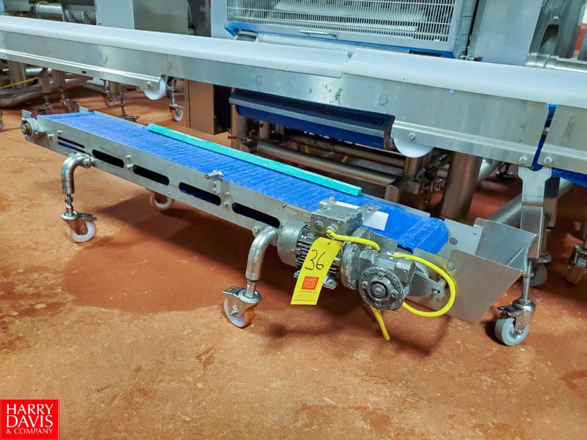 Pavan S/S Frame Conveyor , 5'L, 9"W, with Ele .25 HP Motor, Interlox Belt And Drive