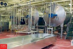 Castelli Cheese USA - Italian Cheese Manufacturing