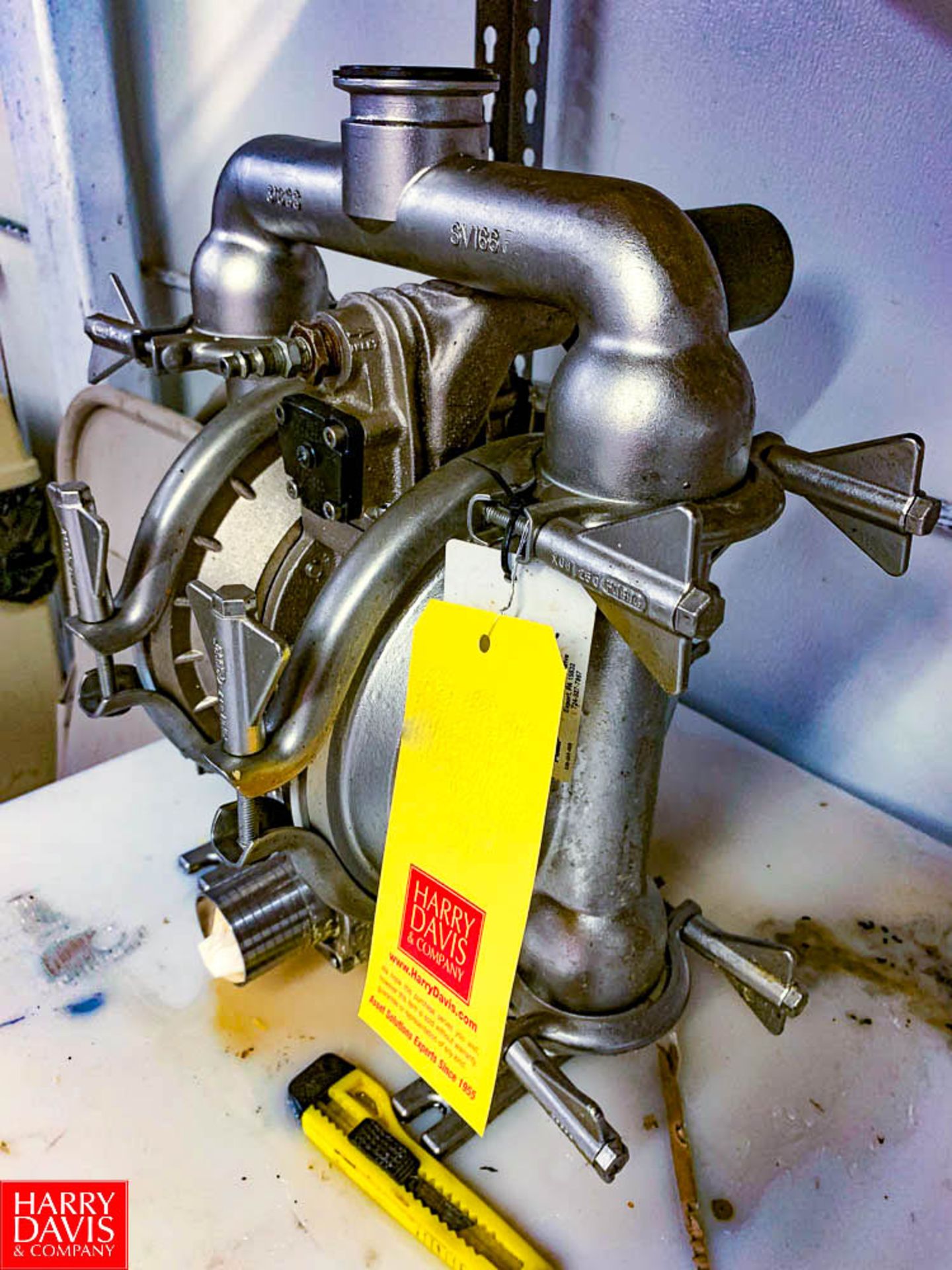 Wilden S/S Diaphragm Pump Model SV166 Rigging Fee: $ 75 - Image 2 of 2