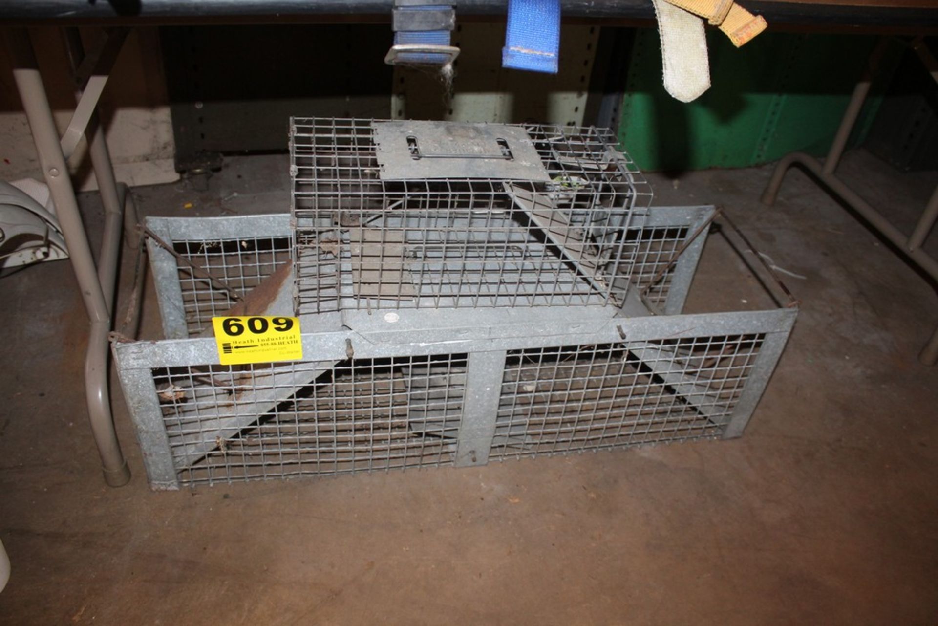 (2) LIVE ANIMAL TRAPS