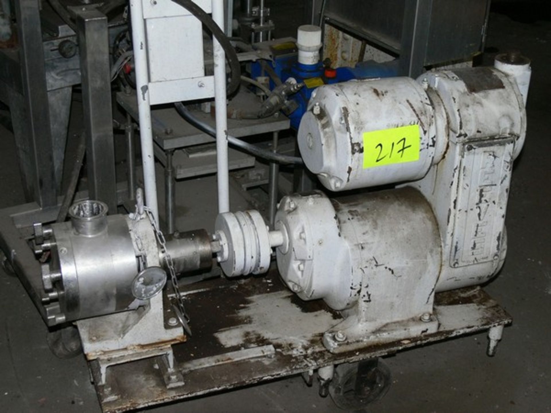 SINE PUMP STAINLESS STEEL