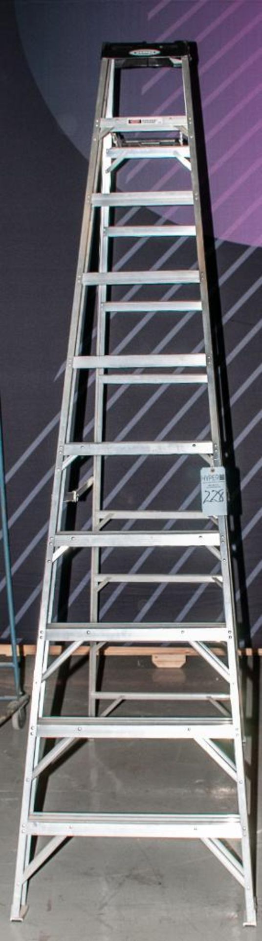 Werner 10' Aluminum Step Ladder, 300-lb. Capacity
