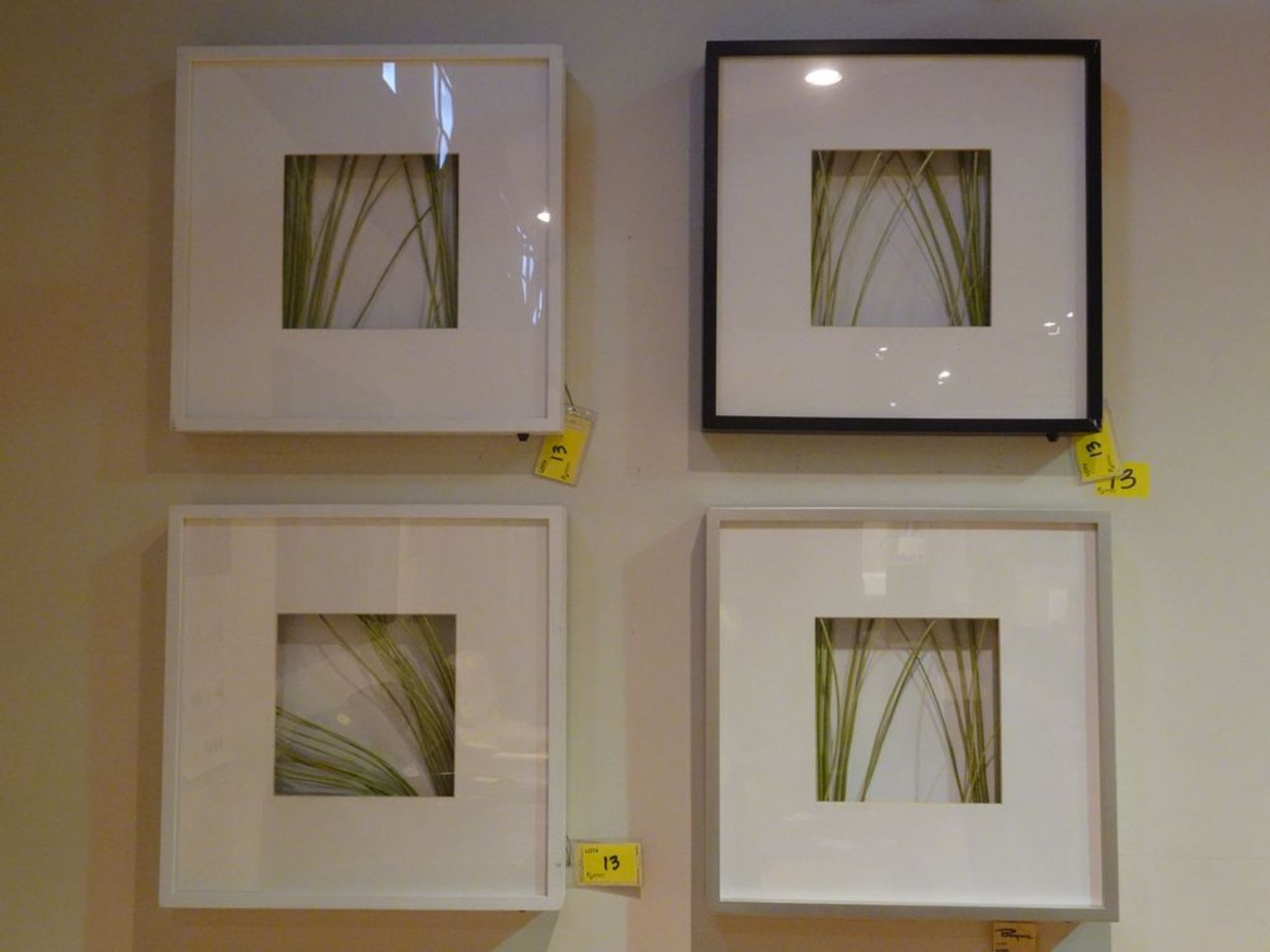 SET OF (4) - BRANCHES IN SHADOW BOXES