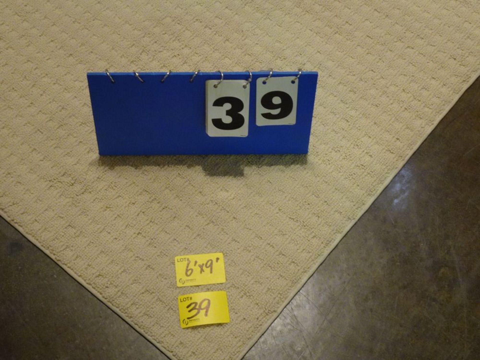 6' x 9' AREA RUG - BEIGE, FLOOR MODEL - Image 2 of 3
