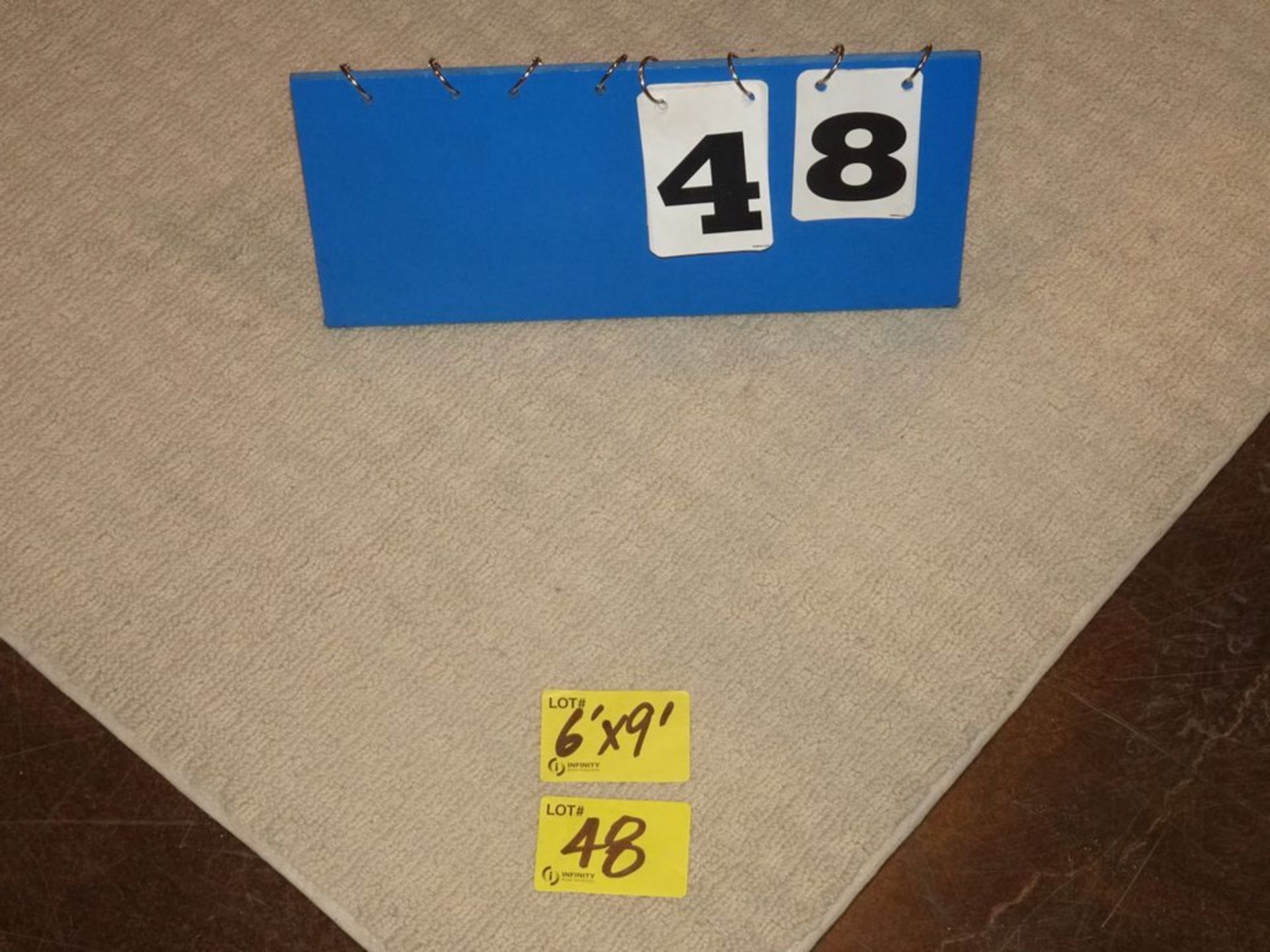 6' x 9' AREA RUG - BEIGE, FLOOR MODEL - Image 2 of 2