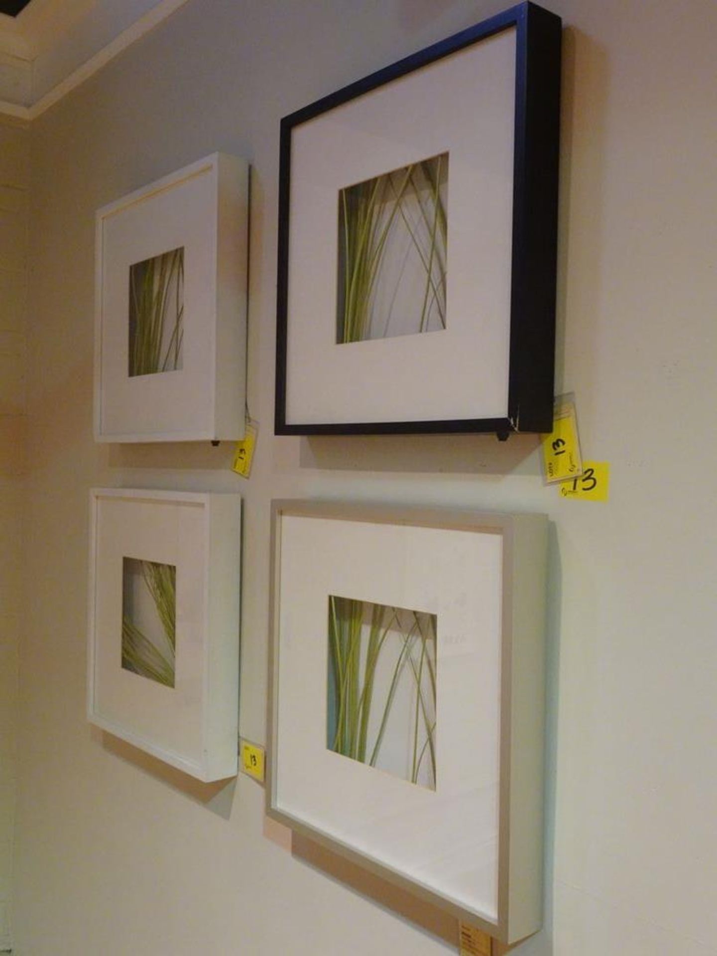 SET OF (4) - BRANCHES IN SHADOW BOXES - Image 2 of 4