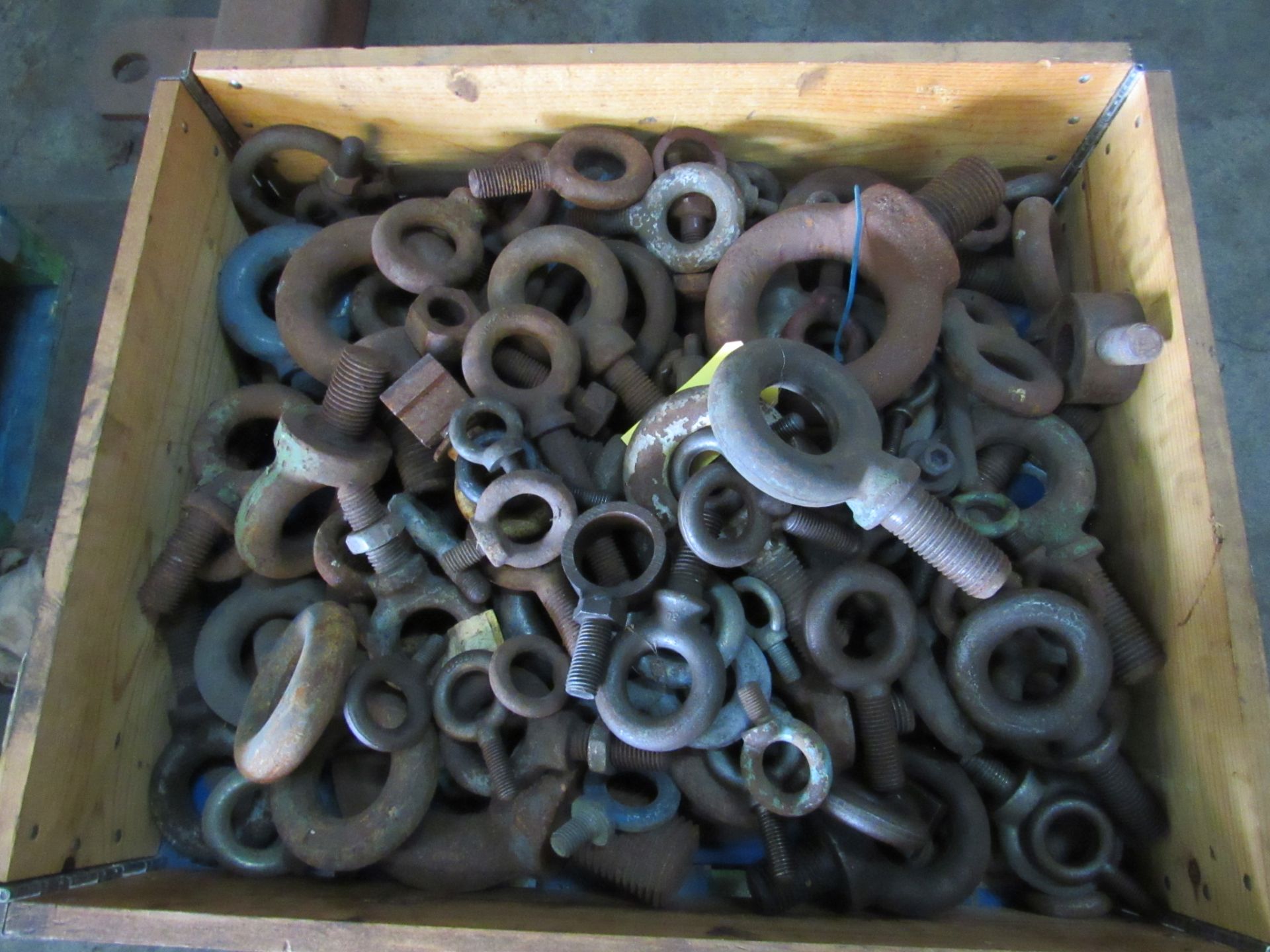 Lot: Eye Bolts