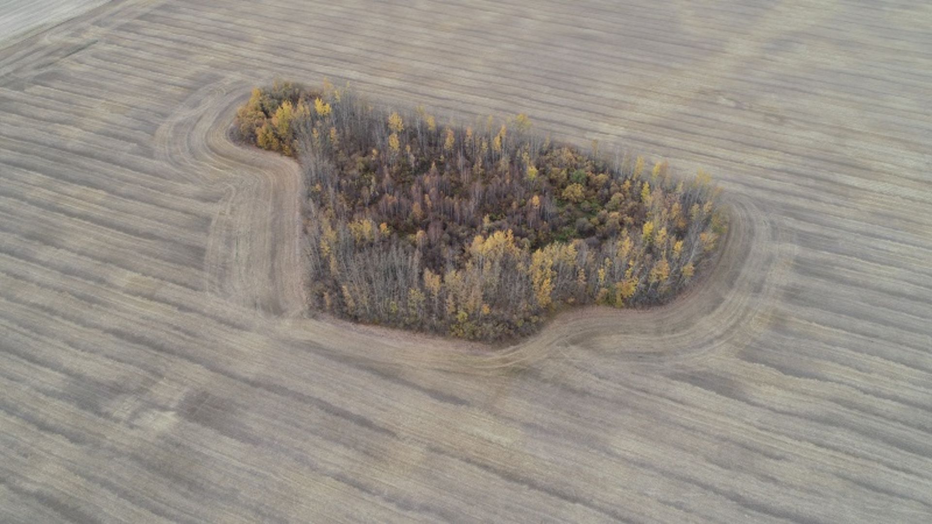 1/4 Section NW 34-105-14-W5M +/- 158 Acres - Image 3 of 47