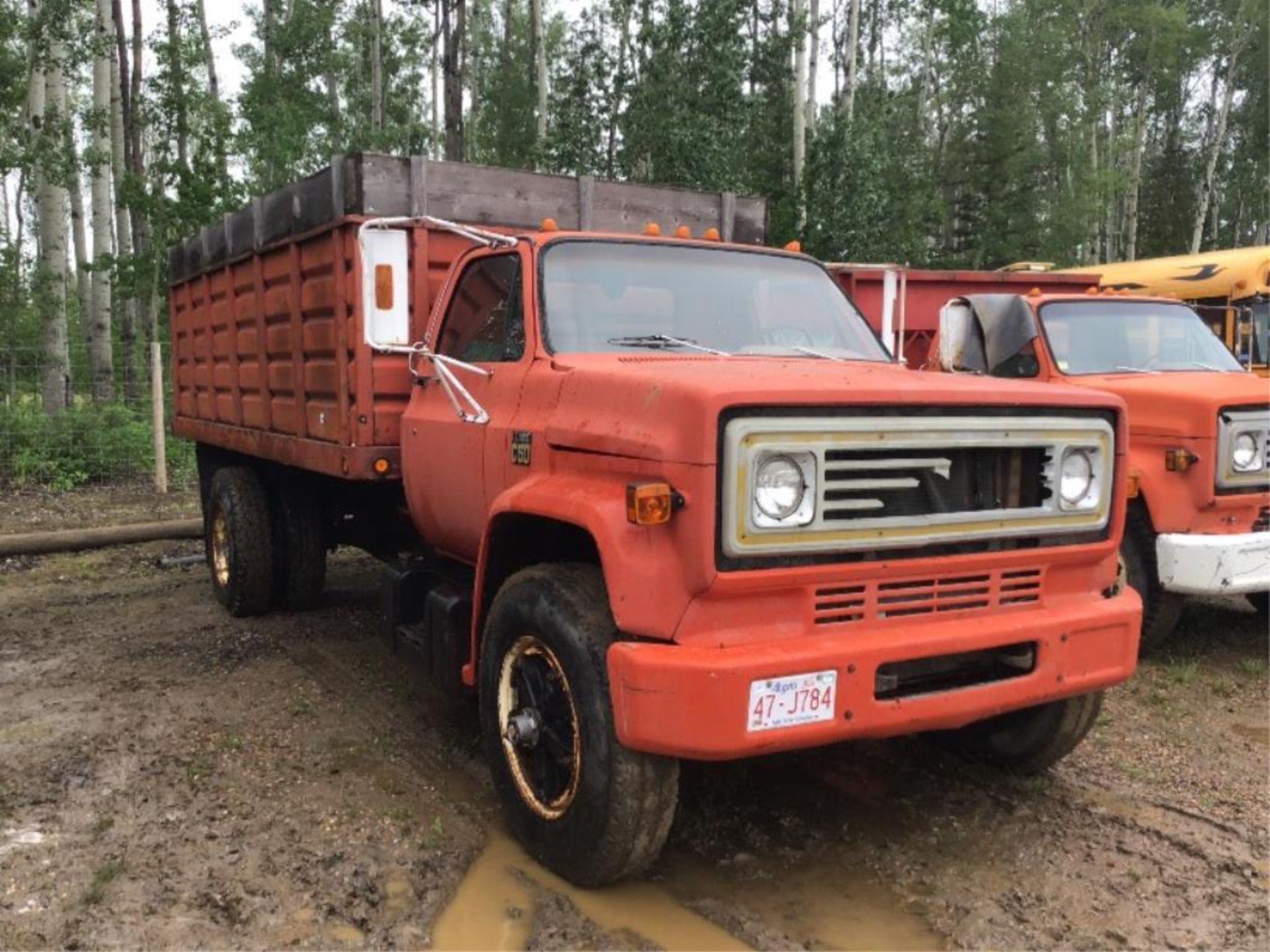 Chevy C60 S/A Grain Truck VIN CCE625V148498 10spd Trans, Steel Box & Hoist - Image 3 of 11