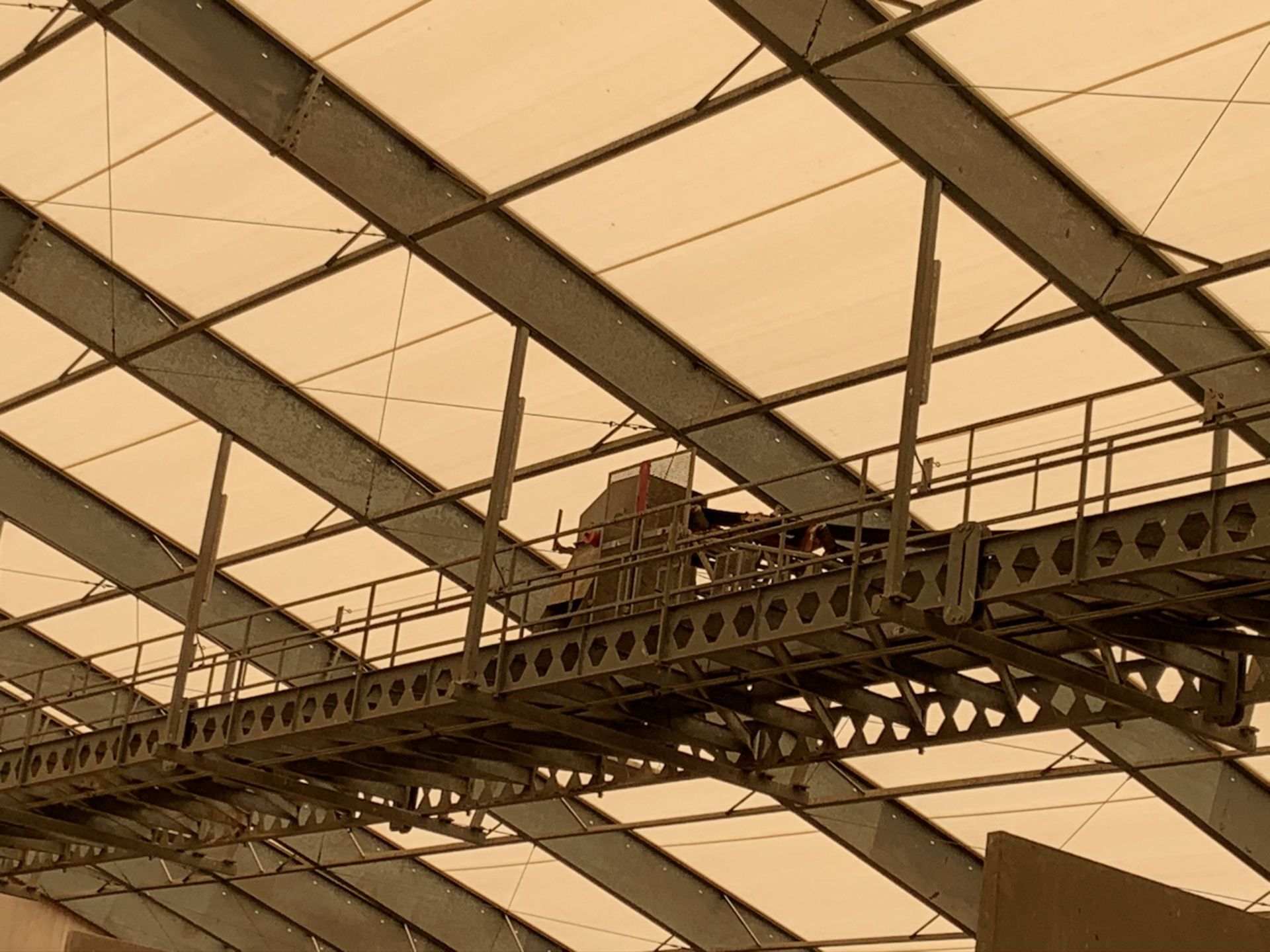 Yargus Belt Conveyor - Image 9 of 11