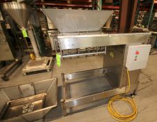 Goodway 21" W Portable S/S Extruder, with 32" L x 24" W Hopper with On - Board Control Cabinet