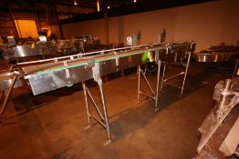 S/S Straight Section of Conveyor, Aprox. 12' L x 12" W Chain x 47" H (LOCATED IN BROCKPORT, NY) (
