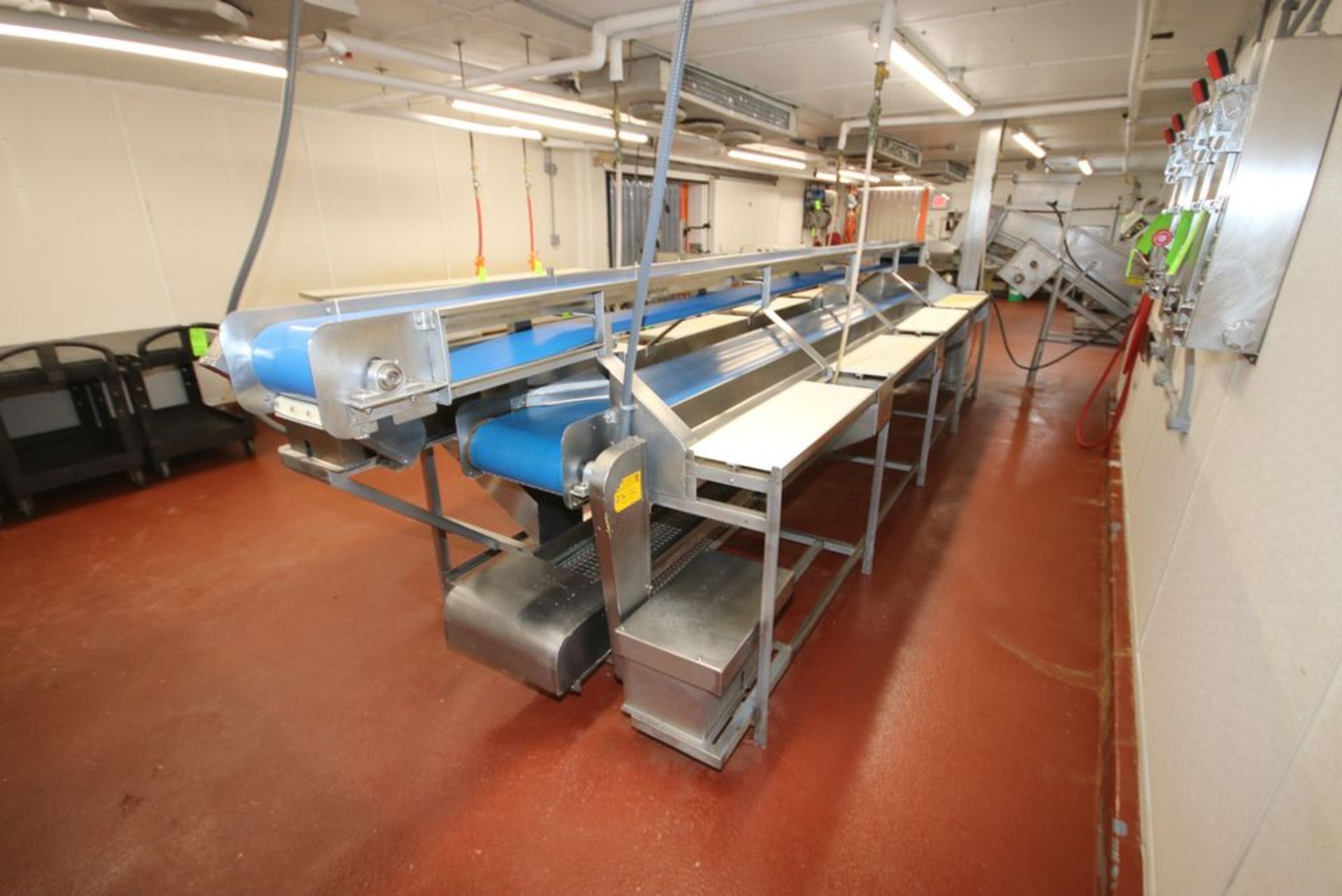 S/S Triple Conveyor Fish Filleting Station, with Top Filet Conveyor, Aprox. 220" L x 12" W Belt, - Image 3 of 9