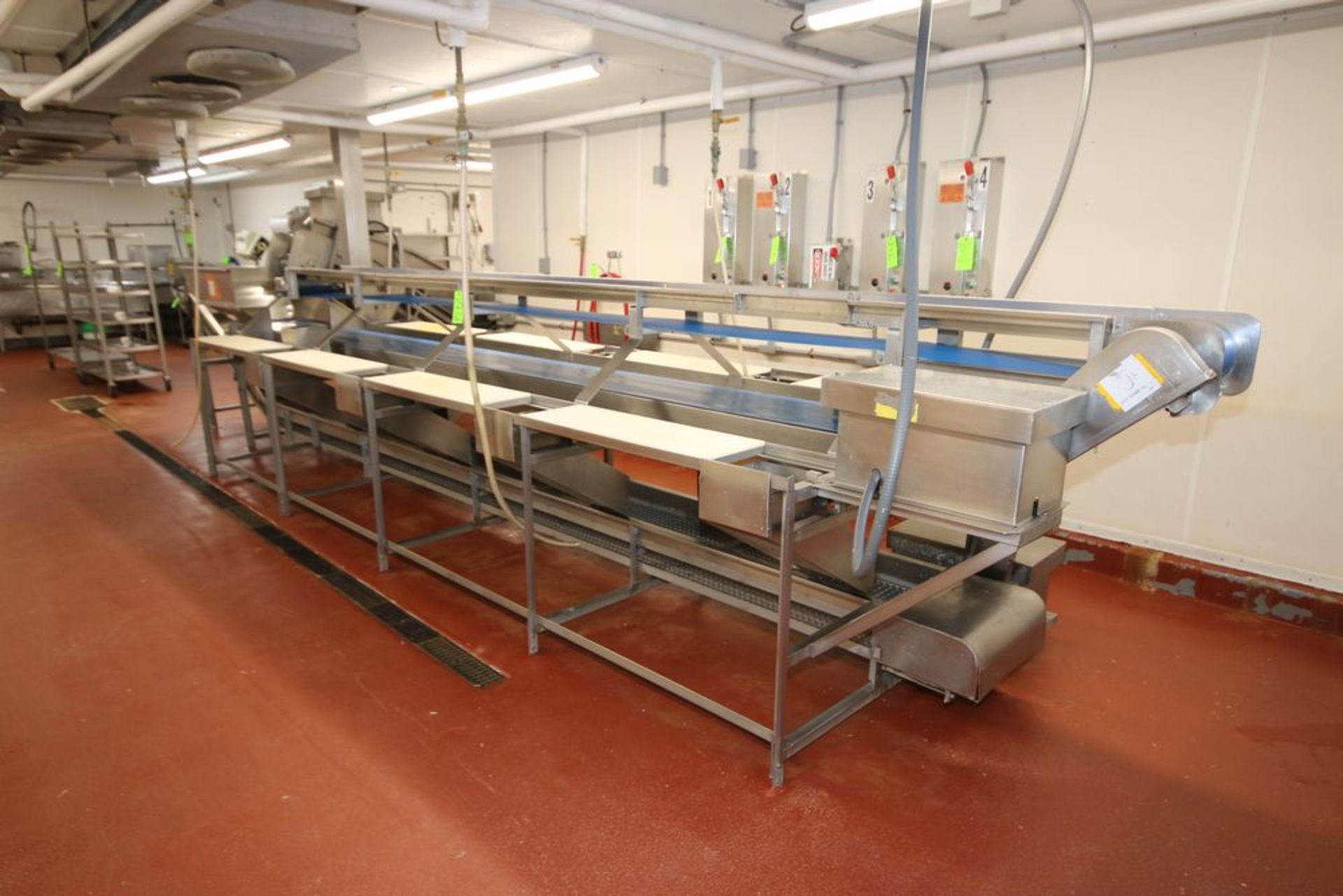 S/S Triple Conveyor Fish Filleting Station, with Top Filet Conveyor, Aprox. 220" L x 12" W Belt, - Image 2 of 9