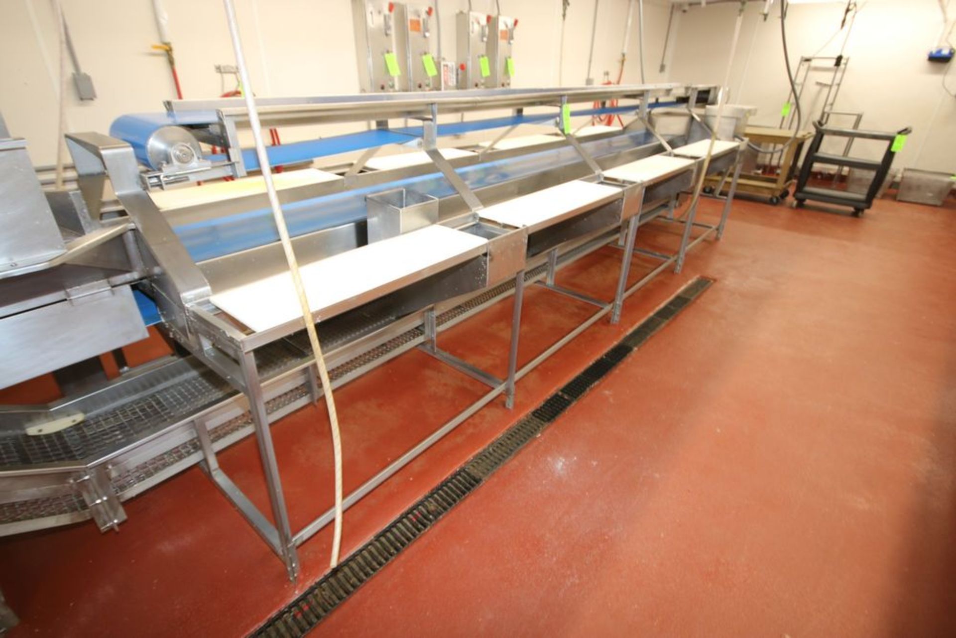S/S Triple Conveyor Fish Filleting Station, with Top Filet Conveyor, Aprox. 220" L x 12" W Belt, - Image 5 of 9