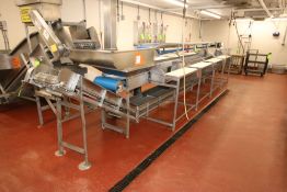 S/S Triple Conveyor Fish Filleting Station, with Top Filet Conveyor, Aprox. 220" L x 12" W Belt,