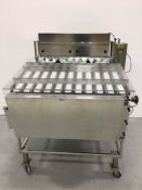 Tablet Sizer - Custom Made, 10-Lane unit. As shown in photos.