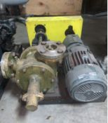 Rotary Positive Displacement Pump with Relief Valve, 5HP with Gear box and chain drive reducer. (