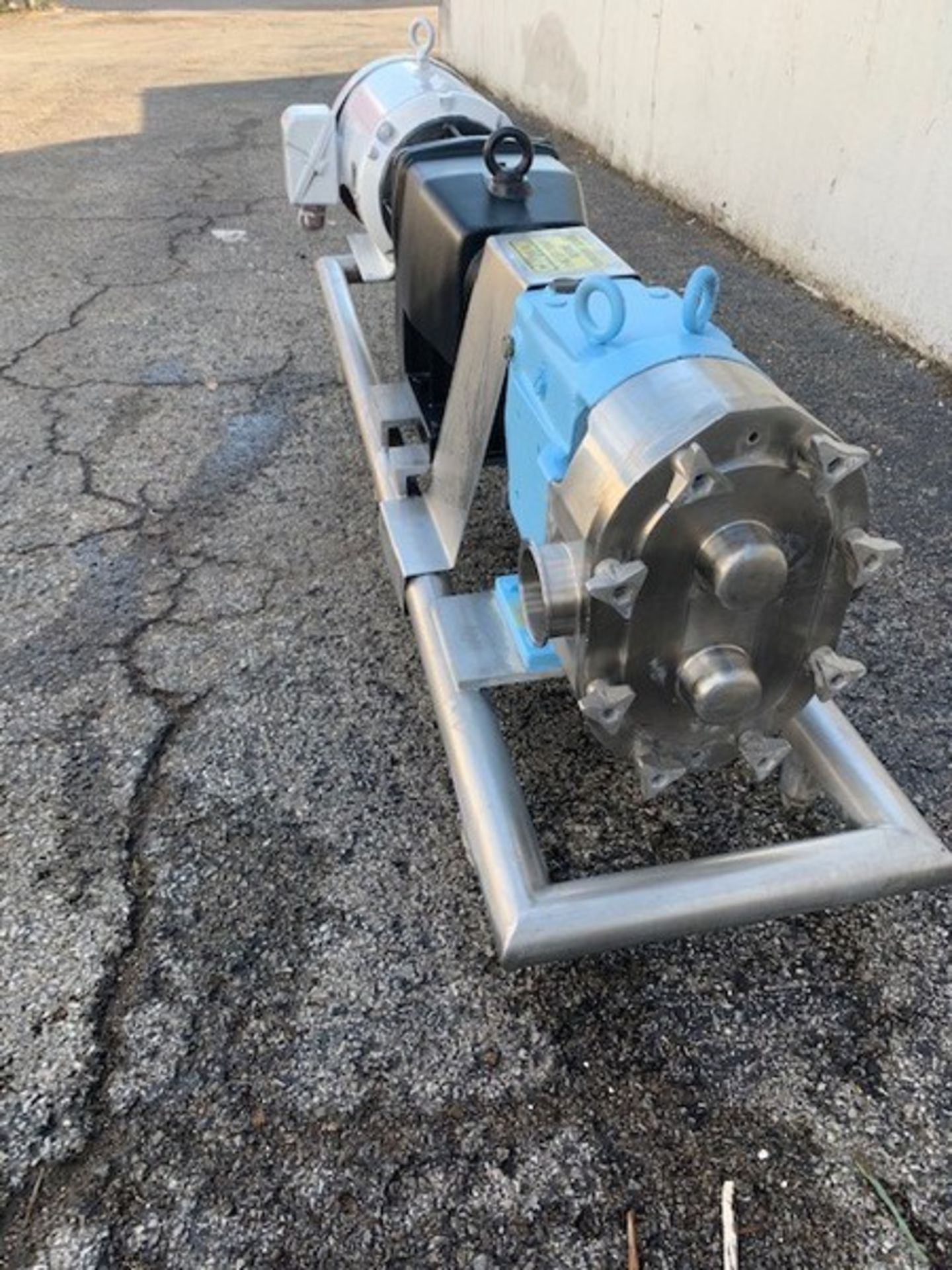 Waukesha 15 hp Positive Displacement Pump, Model 130, S/N 37762205 with 4" Clamp Type S/S Head, S/ - Image 2 of 4