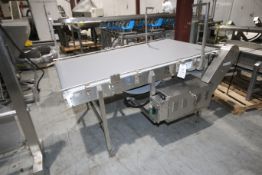 Straight Section of S/S Conveyor, with Aprox. 40" W Plastic Belt, Mounted on S/S Frame (IN#70594)(
