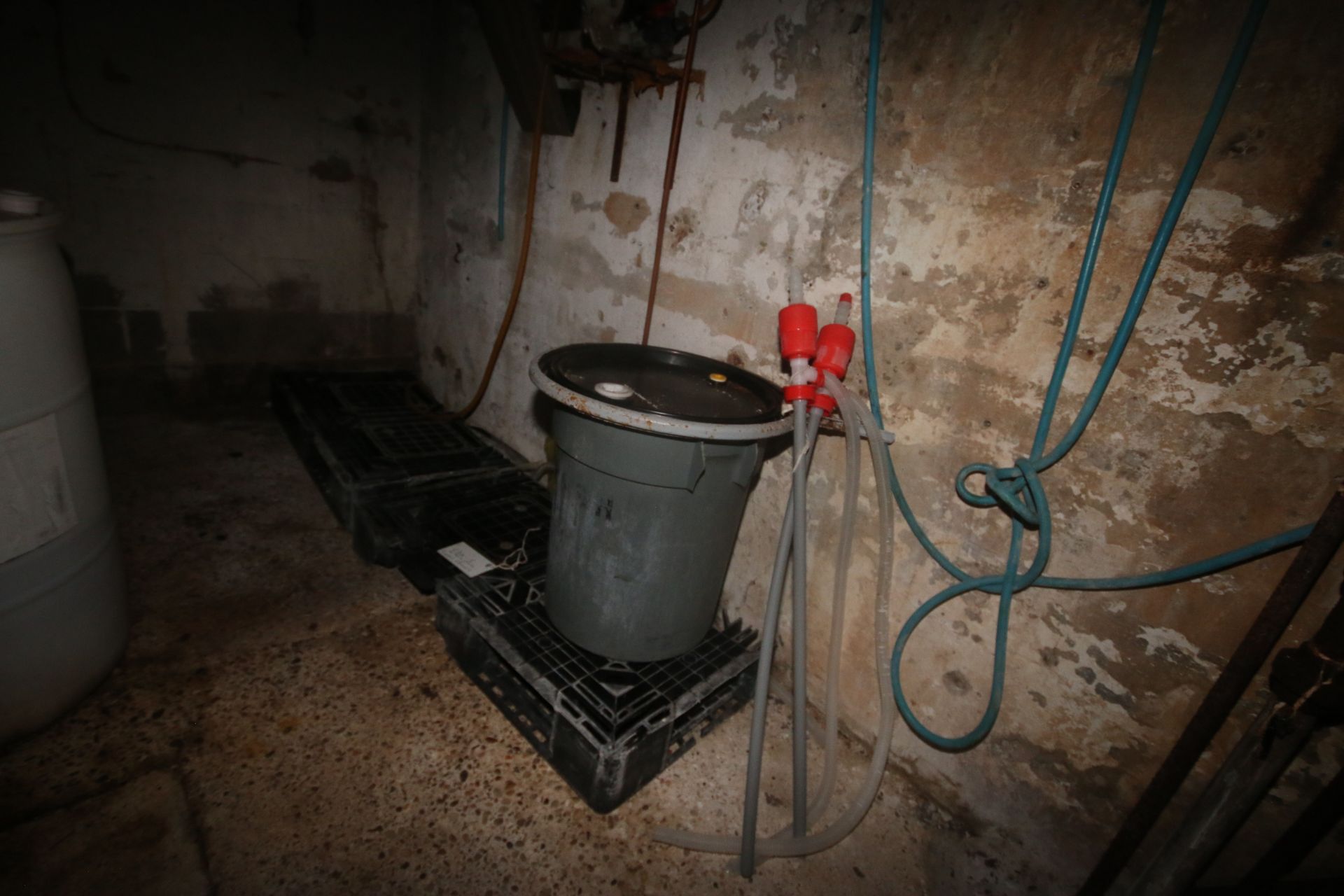 Contents of Chemical Room, Includes (2) Chemical Diapham Pumps, (2) Dunnage Racks, and Other - Image 3 of 4