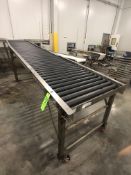 S/S INCLINE ROLLER CONVEYOR IN TWO PIECES (ONE WITH CASTERS / ONE WITHOUT), APPX DIM. L180'' X