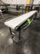 BROWNING CONVEYOR W/ WHITE FOOD GRADE BELT, S/S MARATHON ELECTRIC MOTOR .5/.33 HP, 1725/1425 RPM,