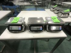 (3) S/S AND COUNTERTOP PLATFORM SCALE, MODEL SK-5000WP