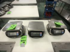 (3) S/S AND COUNTERTOP PLATFORM SCALE, MODEL SK-5000WP