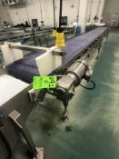 STERLING ELECTRIC S/S CONVEYOR WITH BLUE FOOD GRADE BELT, MODEL 820-395/A, S/S WASH DOWN MOTOR,