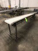 BROWNING CONVEYOR W/ WHITE FOOD GRADE BELT, S/S STERLING ELECTRIC MOTOR 3/4 HP CONVEYOR (BELT)