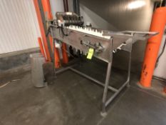 TS Designs S/S Slicer with Incline Conveyor and Bottom Discharge, Spare Celery Slicer Blades